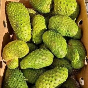 soursop fruit box