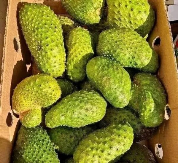 soursop fruit box
