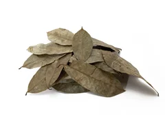 buy dried soursop leaves online